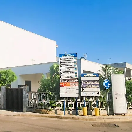 Passions Torre Lapillo